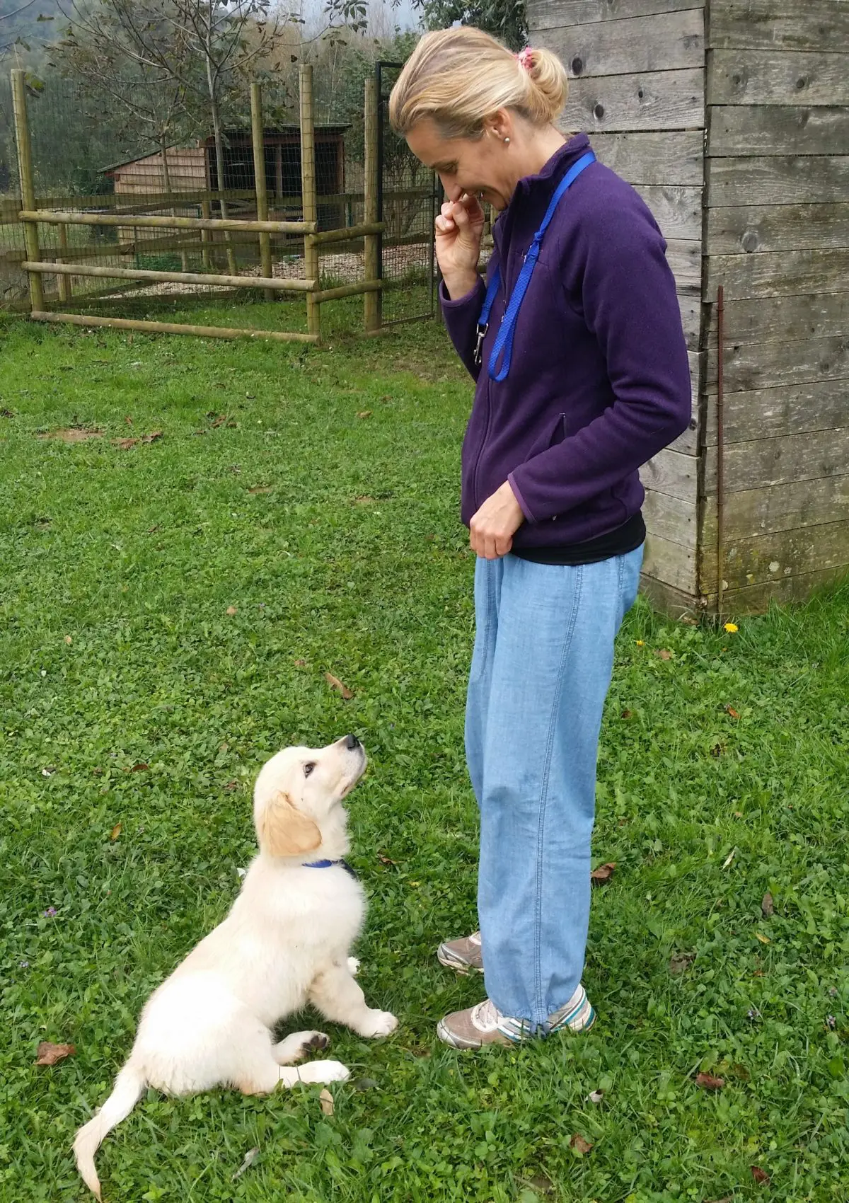 educazione cane fvg 