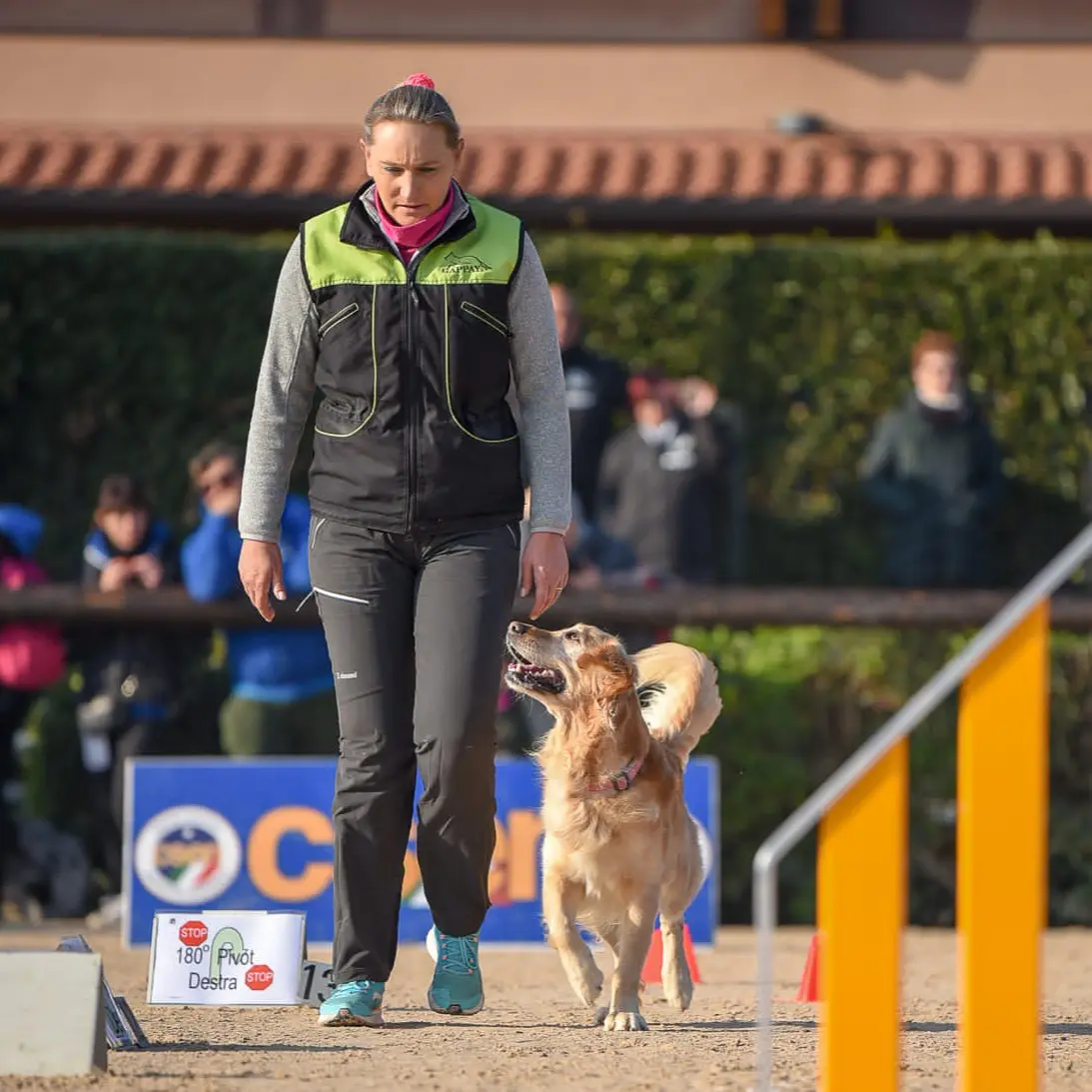 rally obedience friuli venezia giulia